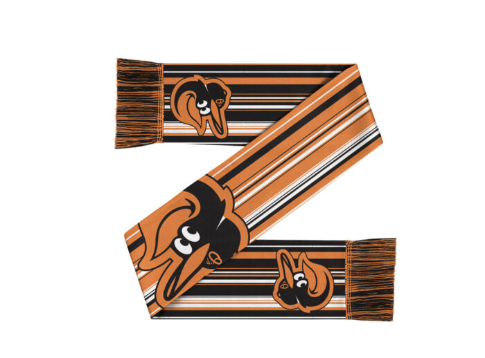 Baltimore Orioles Hyper Stripe Big Logo Scarf 