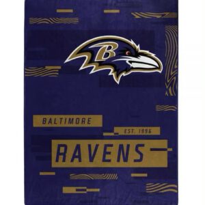 Baltimore Ravens 60" x 80" Digitize Royal Plush Blanket